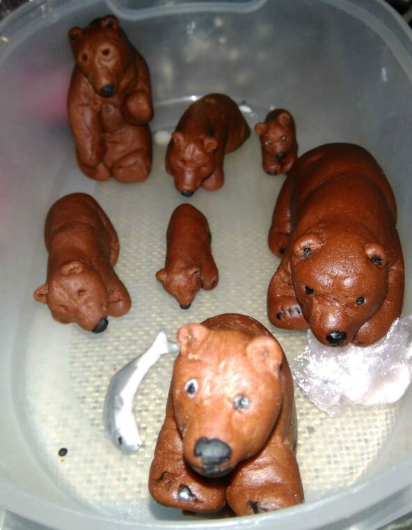 les ours bruns fin