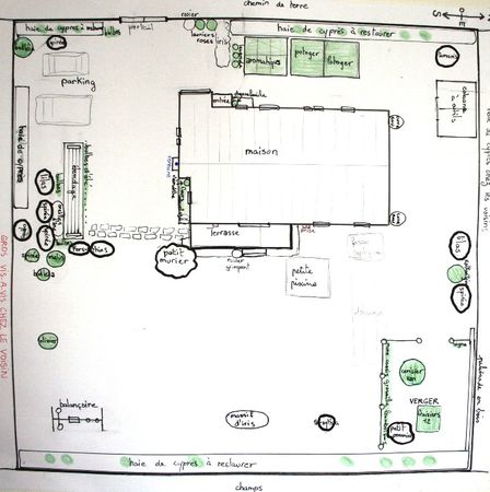 Le plan de mon jardin - Le jardin des cerises vertes