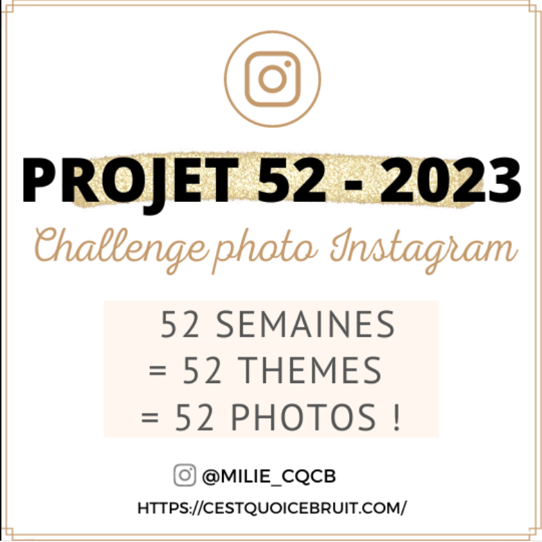 PROJET 52 2023