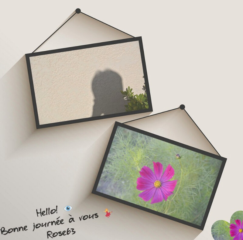 hello bonne journée Rose63Juillet 2018