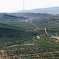 Image (9)