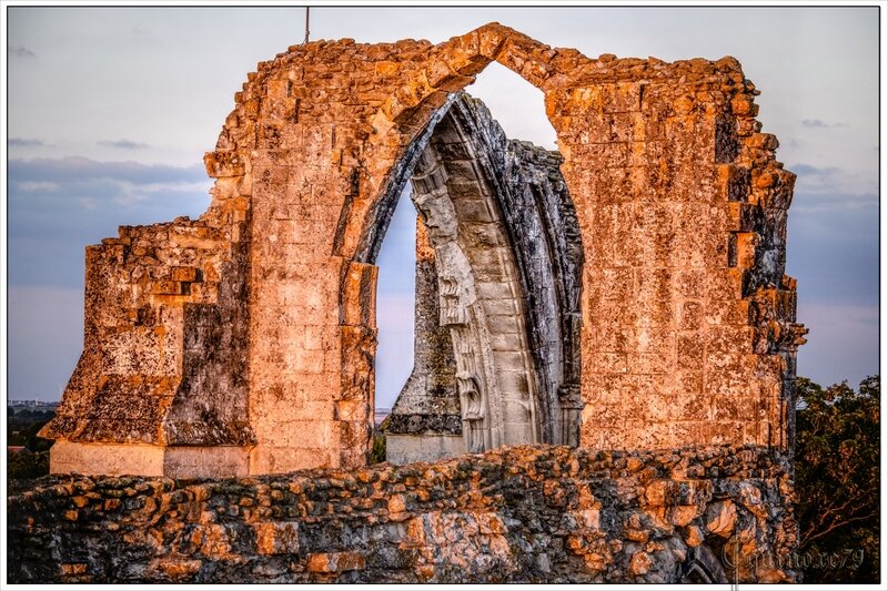 un château sur l'île de Maillezais transformé par Emma d'Aquitaine en Abbaye puis devenu ruine