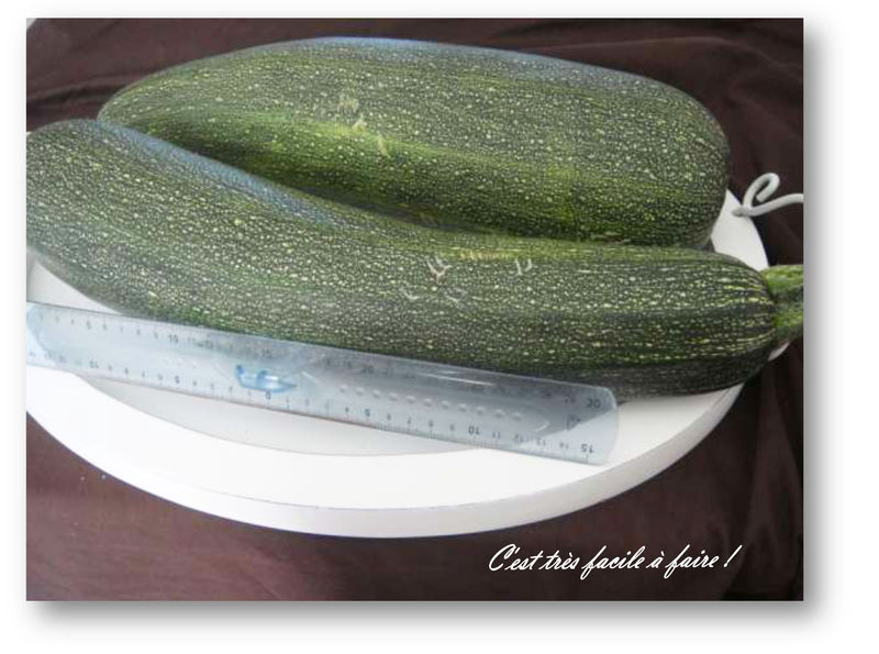 COURGETTES