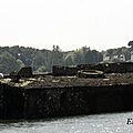 DSC09529