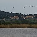 IMG_2205 - Copie